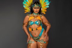 Standard- Monokini, std necklace w shoulder pc, std arm pcs , std leg pcs & medium backpack.