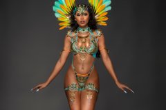 Standard-Standard bra w std gem bikini bottom, std necklace w shoulder pc, std arm pcs , std leg pcs & medium backpack.