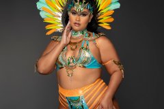 Standard-Standard-bra-w-std-high-waist-gem-bikini-bottom-std-necklace-w-shoulder-pc-std-arm-pcs-std-leg-pcs-medium-backpack.8852-resized