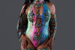 Frontline-w-fl-tiara-fl-necklace-fl-arm-pcs-fl-upper-lower-leg-pcs-monokini-.-P1070-1