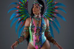 Frontline-w-fl-tiara-fl-necklace-fl-arm-pcs-fl-upper-lower-leg-pcs-monokini-med-backpack.-P0776