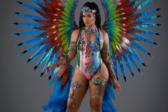 Section-Leader-w-fl-tiara-fl-necklace-fl-arm-pcs-fl-upper-lower-leg-pcs-monokini-xl-backpack.-P1070