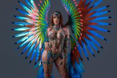 Section-Leader-w-fl-tiara-fl-necklace-fl-arm-pcs-fl-upper-lower-leg-pcs-wire-bra-fl-gem-bikini-xl-backpack-LP0776