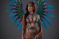 Standard-w-tiara-std-necklace-std-arm-pcs-std-leg-pcs-std-bra-std-gem-bikini-w-belt-medium-backpack-P1070