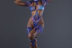 Frontline-w-tiara-fl-necklace-fl-arm-pcs-wrist-pcs-fl-upper-lower-leg-pcs-monokini-.-P3402-min