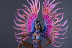 Frontline-w-tiara-fl-necklace-fl-arm-pcs-wrist-pcs-fl-upper-lower-leg-pcs-monokini-large-backpack-.P3491-min