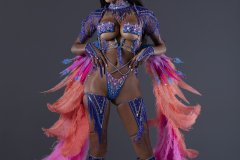 Frontline-w-tiara-fl-necklace-fl-arm-pcs-wrist-pcs-fl-upper-lower-leg-pcs-wire-bra-fl-gem-bikini-feather-bustle.-P3566-min