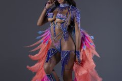 Frontline-w-tiara-fl-necklace-fl-arm-pcs-wrist-pcs-fl-upper-lower-leg-pcs-wire-bra-fl-gem-bikini-feather-bustle.-P3581-min