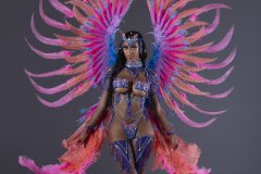 Section-Leader-w-tiara-fl-necklace-fl-arm-pcs-wrist-pcs-fl-upper-lower-leg-pcs-wire-bra-fl-gem-bikini-Xl-backpack-.P3263-min