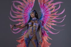 Section-Leader-w-tiara-fl-necklace-fl-arm-pcs-wrist-pcs-fl-upper-lower-leg-pcs-wire-bra-fl-gem-bikini-Xl-backpack-.P3267-min