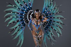 Frontline-w-fl-tiara-fl-necklace-fl-gloves-fl-upper-lower-leg-pcs-monokini-large-backpack-.-P2295-min