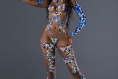 Frontline-w-fl-tiara-fl-necklace-fl-gloves-fl-upper-lower-leg-pcs-wire-bra-frontline-gem-bikini-.-P2091-min