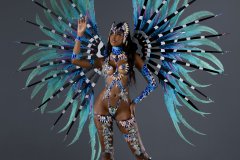 Frontline-w-fl-tiara-fl-necklace-fl-gloves-fl-upper-lower-leg-pcs-wire-bra-frontline-gem-bikini-large-backpack-.-P2156-min