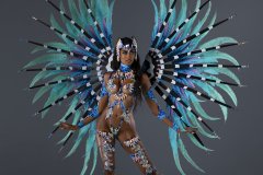 Frontline-w-fl-tiara-fl-necklace-fl-gloves-fl-upper-lower-leg-pcs-wire-bra-frontline-gem-bikini-large-backpack-.-P2183-min