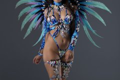 Standard-w-tiara-std-necklace-fl-gloves-std-leg-pcs-standard-bra-standard-belt-standard-gem-bikini-medium-back-pack-.P2028-min