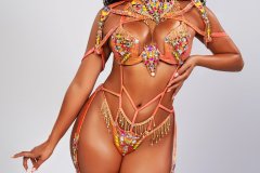 Standard - padded bra w standard gem bikini bottom,  tiara, std necklace w shoulder pcs , std upper and lower leg pcs.