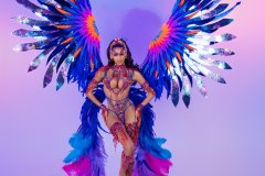 DSC01351