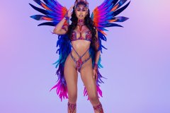 DSC01537