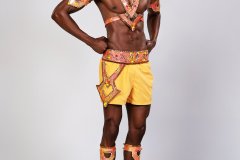 Male - head pc . chest pc , belt, arm pcs and leg pcs.