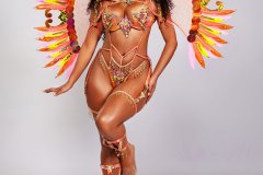 Standard - padded bra w standard gem bikini bottom,  tiara, std necklace w shoulder pcs , std upper and lower leg pcs  and  medium backpack.