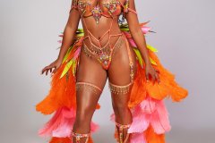 Standard - padded bra w standard gem bikini bottom,  tiara, std necklace w shoulder pcs , std upper and lower leg pcs  and  bustle.