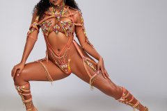  Frontline - wire-bra w fl-gem bikini bottom, tiara, fl necklace w shoulder pcs , fl upper and lower leg pcs .