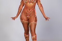  Frontline - wire-bra w fl-gem bikini bottom, tiara, fl necklace w shoulder pcs and fl upper and lower leg pcs .