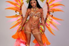 Section Leader - wire-bra w fl-gem bikini bottom, tiara, fl necklace w shoulder pcs , fl upper and lower leg pcs and ultra  backpack.