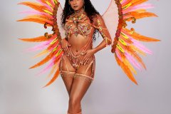  Frontline - wire-bra w fl-gem bikini bottom, tiara, fl necklace w shoulder pcs and fl upper , lower leg pcs and large backpack.