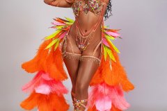  Frontline - wire-bra w fl-gem bikini bottom, tiara, fl necklace w shoulder pcs , fl upper and lower leg pcs and bustle.