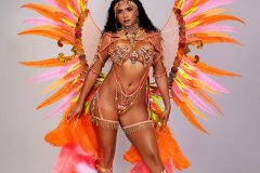  Frontline - wire-bra w fl-gem bikini bottom, tiara, fl necklace w shoulder pcs ,fl upper and lower leg pcs and xlarge backpack.