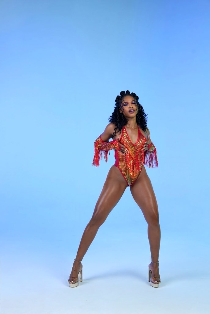 Sahara - monokini and sleeves.